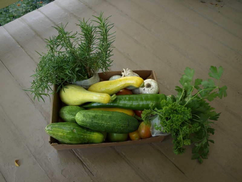 A box of vegetables and herbs