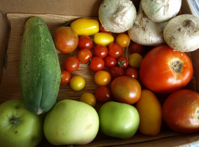 A box of cucumbers, apples, tomatoes, and onions