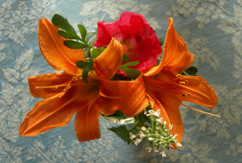 Orange day lilies on a blue tablecloth